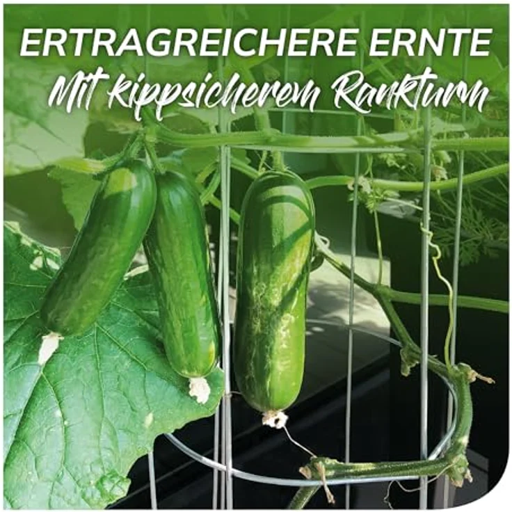 bellissa Gurken-Rankhilfe 5er Set, verzinktes Stahl-Rankgitter 120 cm für Tomaten und Gurken, stabile Pflanzenstütze für Garten, Hochbeet & Töpfe, wetterfest und wiederverwendbar – Bild 2