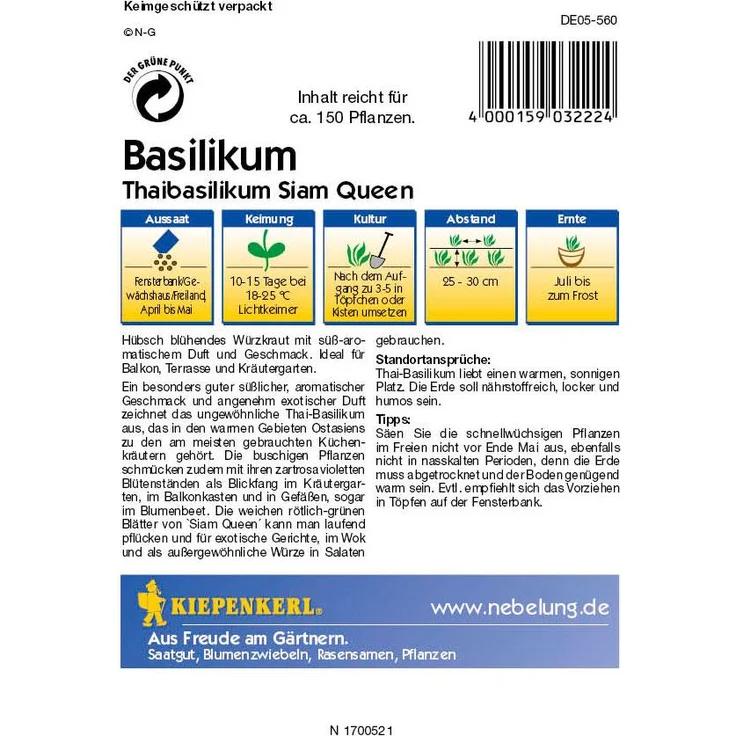 Kiepenkerl Basilikum Thaibasilikum Siam Queen, Ocimum basilicum, Inhalt: ca. 150 Pflanzen – Bild 2