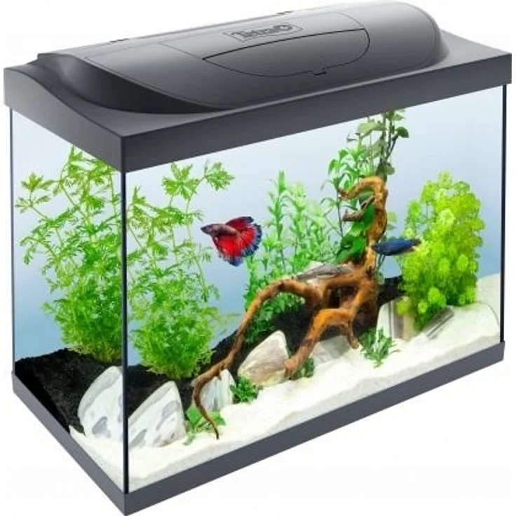 Tetra Starter Line LED 80L Black – Bild 1
