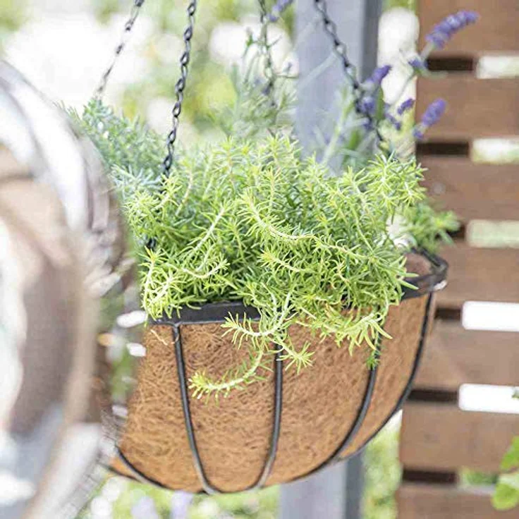 Siena Garden Hängeampel Wrought schwarz mit Kokoseinlage 35cm – Bild 3