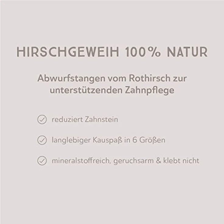 naftie Hirschgeweih Geweihstück ganz - Geweih Kau-Knochen - XS für Welpen und kleine Hunde - mineralstoffreich, geruchsarm & langlebig – Bild 4
