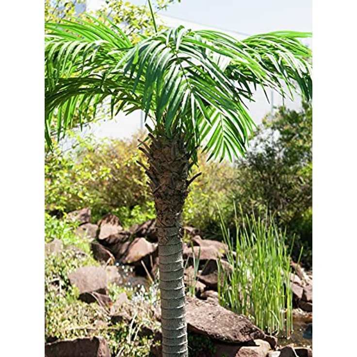 Europalms Phönixpalme luxor, Kunstpflanze, 150 cm, grün – Bild 8