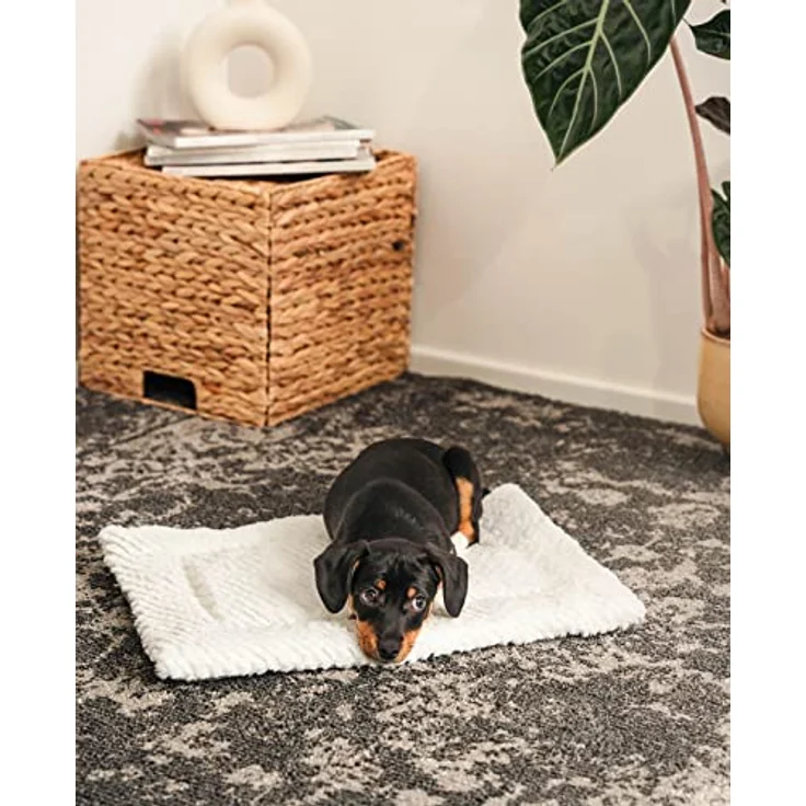 lionto Wendedecke für Haustiere waschbare gefütterte Matte wärmende Liegedecke für Hunde und Katzen, (S) 50x35 cm – Bild 2