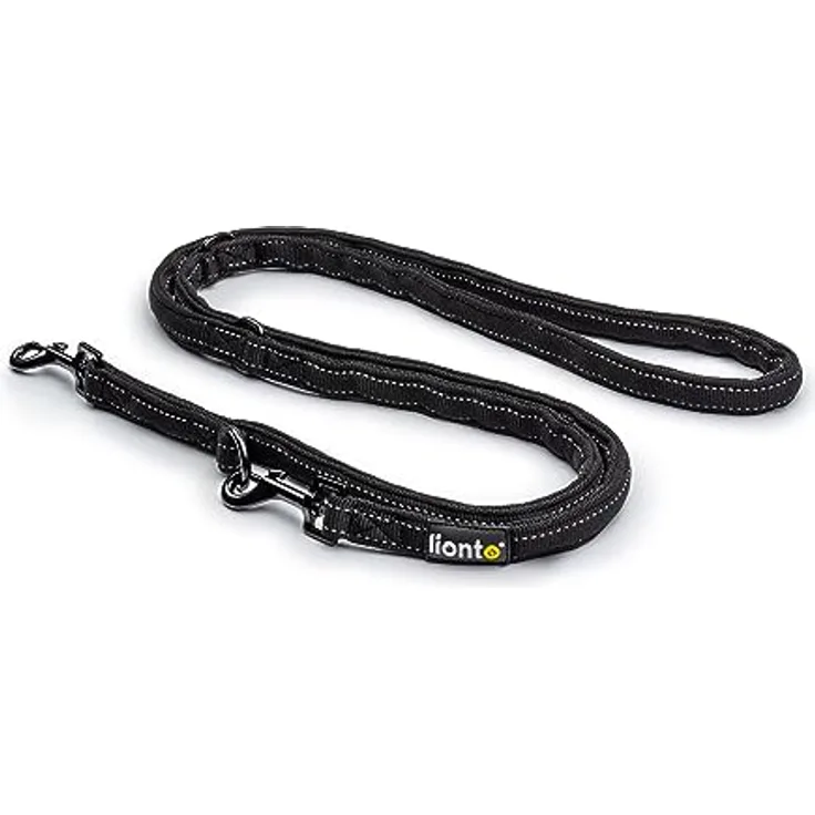 lionto Verstellbare Hundeleine mit reflektierenden Streifen Multifunktionsleine hochwertige Trainingsleine Länge 200 cm schwarz