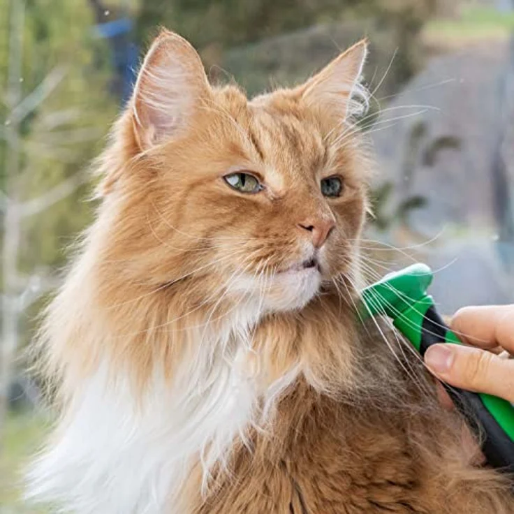 Fino Pet Katzenbürste Größe S speziell für kleine und mittlere Katzen bis 4 KG, für Kurzhaar und Langhaar Katzen, Fellpflege, Pflegewerkzeug als Zubehör, Unterfellbürste Katze, Flohkamm – Bild 2