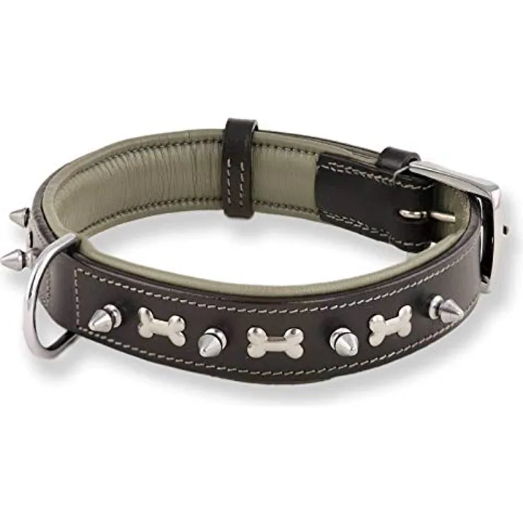 Monkimau Hundehalsband - Halsband für Hunde aus Leder mit Nieten gepolstert schwarz (XS-S: 20mm x 40cm)