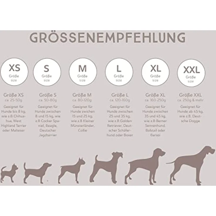 naftie Hirschgeweih Geweihstück ganz - Geweih Kau-Knochen - XS für Welpen und kleine Hunde - mineralstoffreich, geruchsarm & langlebig – Bild 5