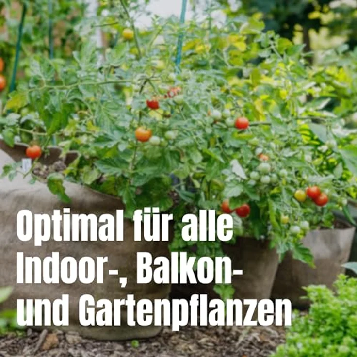 Samenshop24 3 Säcke a 20ltr Tomatenerde Gemüseerde in Gärtnerualität – Bild 4