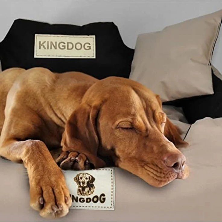 KingDog Hunde- und Katzenbett mit Zwei Kissen Hundekissen Hundekorb Haustierbett Waschbar Wasserdichtes PVC-Material (M 75x65cm, Grün) – Bild 2
