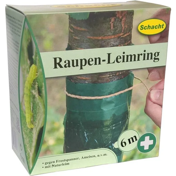 Schacht Raupen-Leimring Schachtel