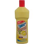 Scheuermilch Citro 500 ml