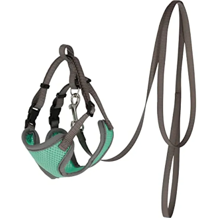 Katzengeschirr mit Leine 120cm x 10mm, türkis