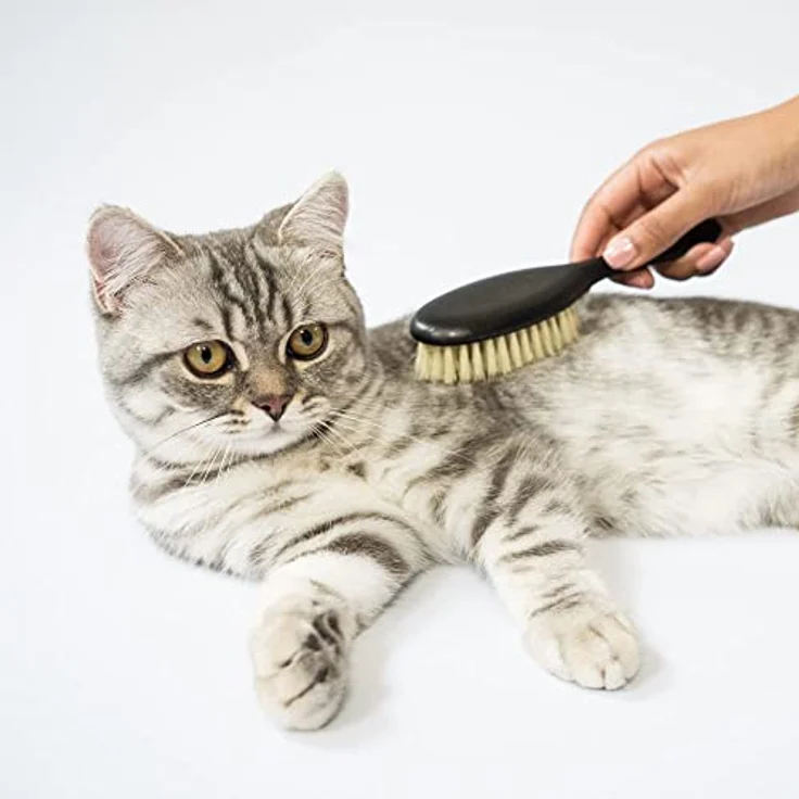 LucyBalu® Katzenbürste Kurzhaar & Langhaar | Fellbürste für Katzen| Katzenkamm zur Fellpflege von Katzen | Tierhaarbürste für Katzen | Katzenhaarbürste mit Agavenfaserborsten & Holzgriff Vegan schwarz – Bild 3