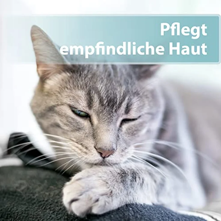 Felisept Hautpflegespray für Katzen, 250ml, regeneriert und pflegt bei Juckreiz und Hautreizungen, von Tierärzten empfohlen – Bild 4