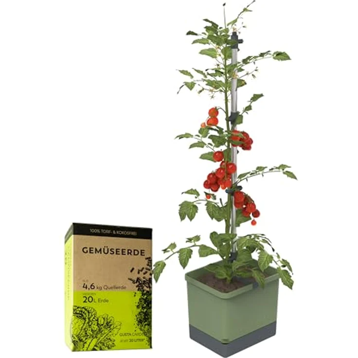 Gusta Garden Pflanzkübel TOM TOMATO, Tomatenpflanzset mit Rankhilfe und Bewässerungssystem, inkl. 20L Urban Gardening Erde, dunkelgrün – Bild 1