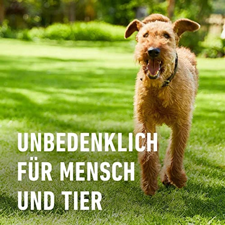 Compo BIO Rasenkalk 10 kg, natürlicher pH-Wert Regulator für gesunden Rasen – Bild 6