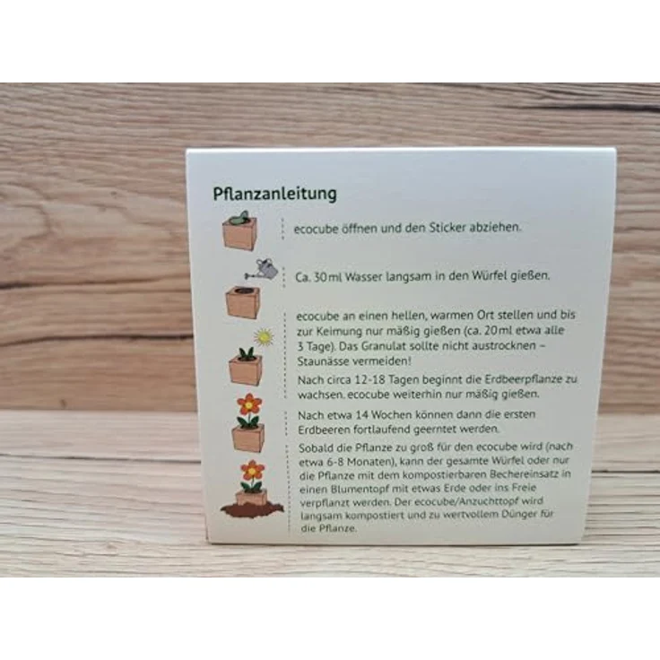 Feel Green Ecocube Erdbeere, Bio Anzuchtset im Holzwürfel, Geschenkidee, Made in Austria – Bild 2