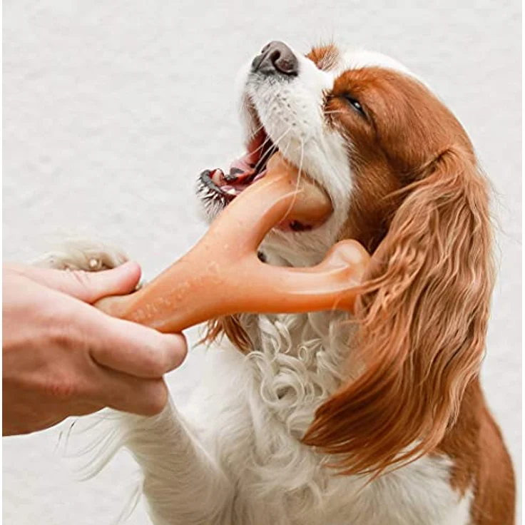 Benebone Wishbone Echter Huhn Klein Langlebiges Hundekauspielzeug für Aggressive Kauer – Bild 5