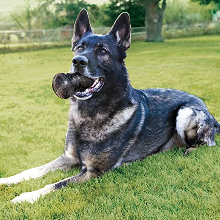 KONG Duramax Ball Hundespielzeug, Größe M – Bild 2