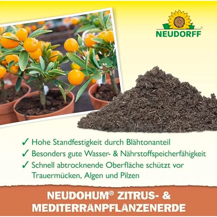 Neudorff NeudoHum Mediterranpflanzenerde, torffreies Pflanzsubstrat für Zitrus- und Kübelpflanzen, 20 l – Bild 4