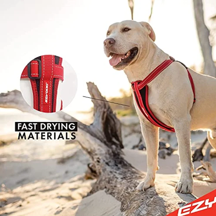 EzyDog Harness Corduroy XS, Gurt mit Fleece-Polsterung, verstellbar für Hunde 3-6 kg, 29-48 cm – Bild 3