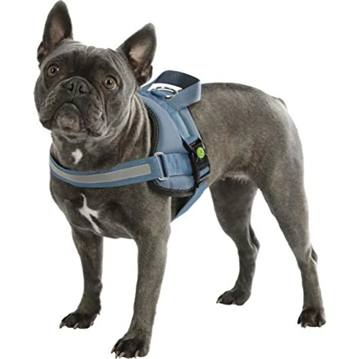 Kerbl Maxi-Pet 80212 Geschirr Maestro 2.0, mit Adresstube – Bild 5