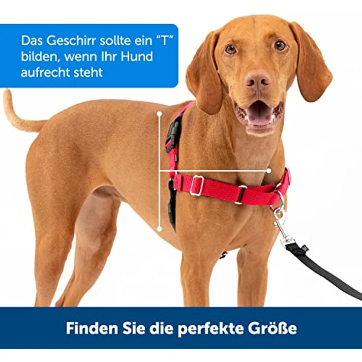 PetSafe Easy Walk-Geschirr, Anti-Zieh-Hundegeschirr, Verringert Würgen und Husten, Mit 1,8 M Leine, Größe M, Schwarz – Bild 5