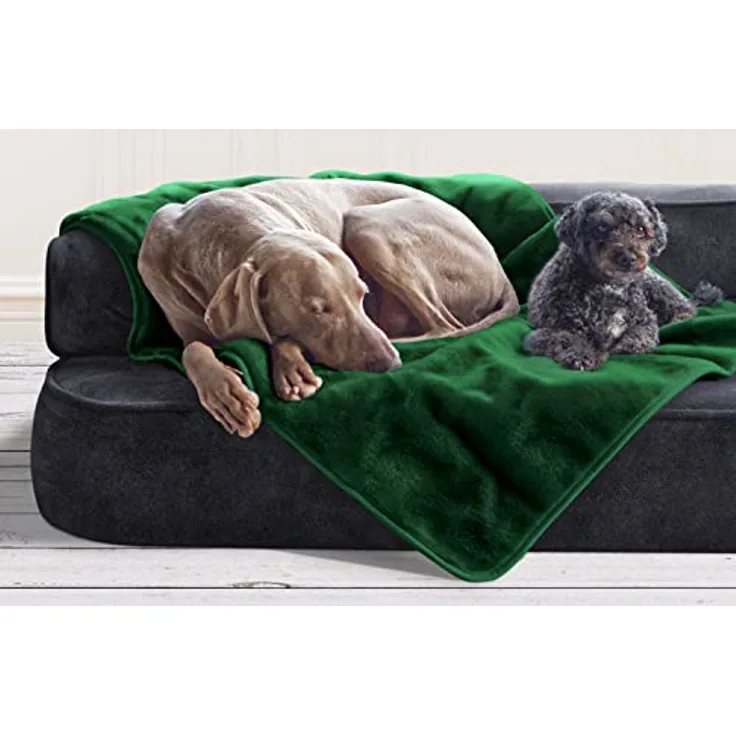 tierlando® Hundedecke Lilly Flauschige Kuschelige Haustier-, Welpen-, Katzen-, Plüschdecke XXL (150x100 cm) | 32 Dunkelgrün