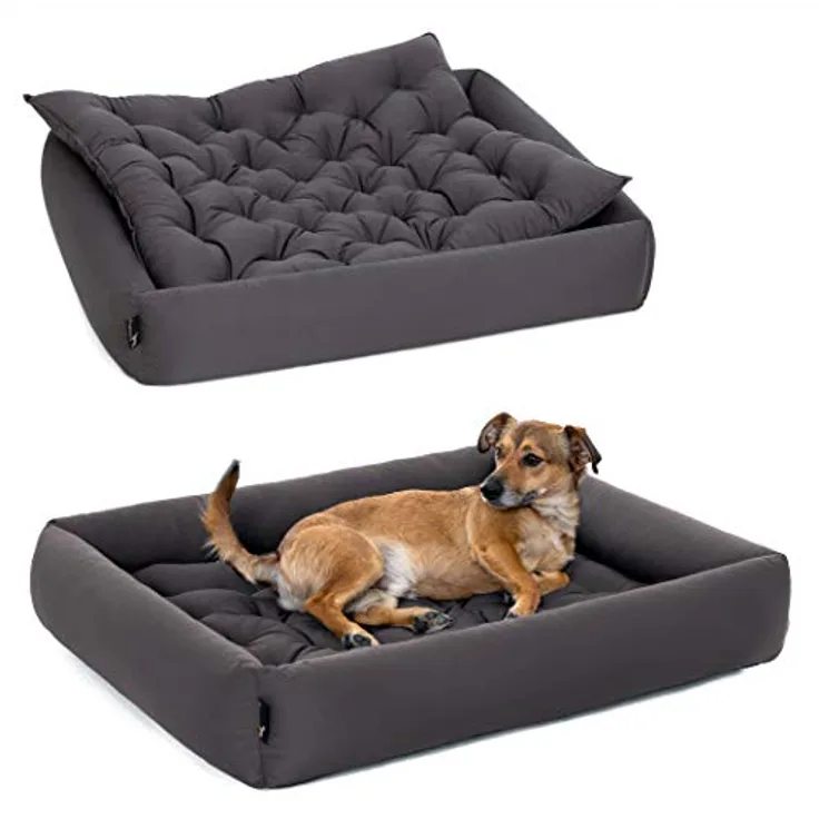 Pointer | Hundebett mit Hundekissen - orthopädisch, waschbar, bequem (XXL - 100x90 cm, Anthrazit)