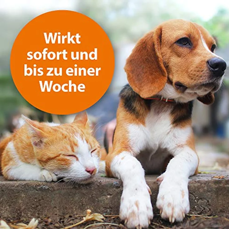 Ardap Zecken- und Flohschutzpuder für Tiere, 150 g - Hochwirksam mit Pyrethrum und Lavendelöl, sofortiger Schutz – Bild 3