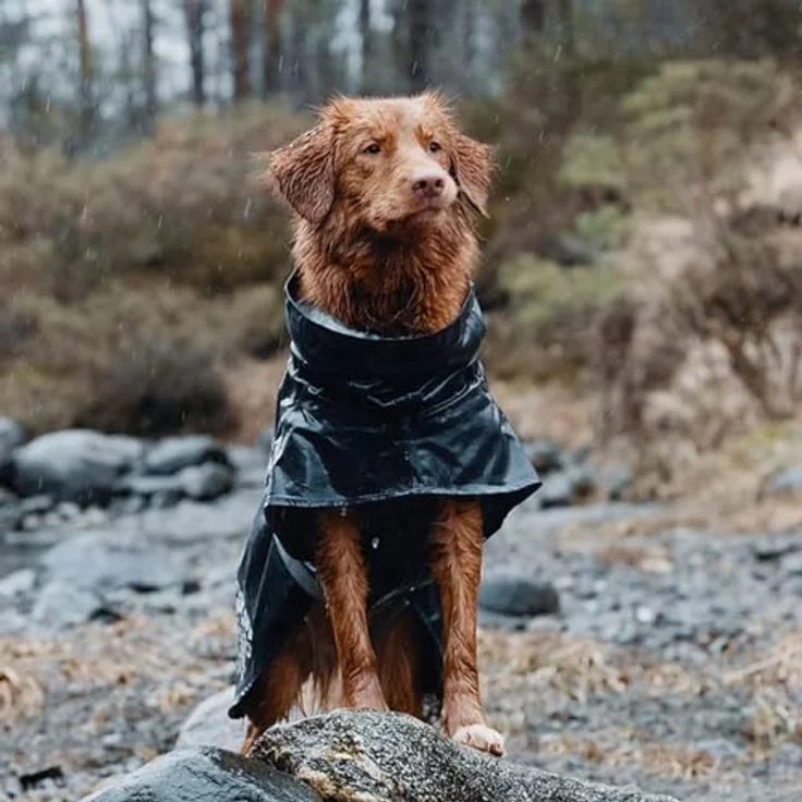 Hurtta Monsoon Dog Raincoat, BlackBerry, 50 cm – Bild 2