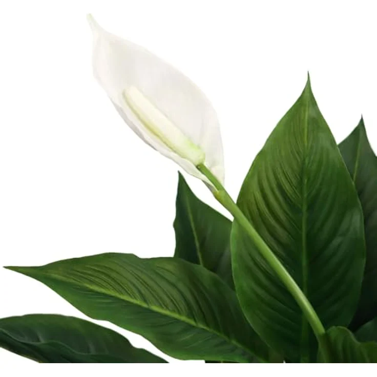 hjh OFFICE Kunstpflanze SPATHIPHYLLUM Kunststoff Einblatt, 80.0 cm, weiße Blüten, Zimmerpflanze im Topf, Kunstblume – Bild 2