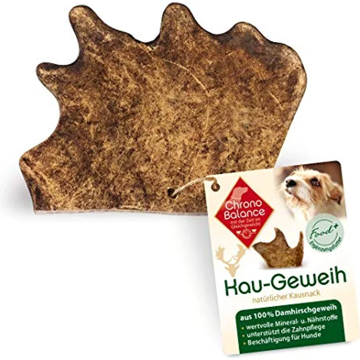 ChronoBalance XL Kaugeweih Damhirsch für Hunde - 100% Geweih Abwurfstange zur Zahnpflege, natürlicher Kausnack, Mineralstoffe & Nährstoffe – Bild 1