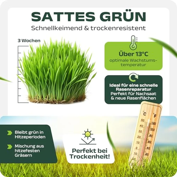 halmland Schattenrasen Samen 1kg für 40m², hochwertig und schnellkeimend, ideal für Rasen Nachsaat und dichte Flächen, inklusive Anleitung – Bild 3