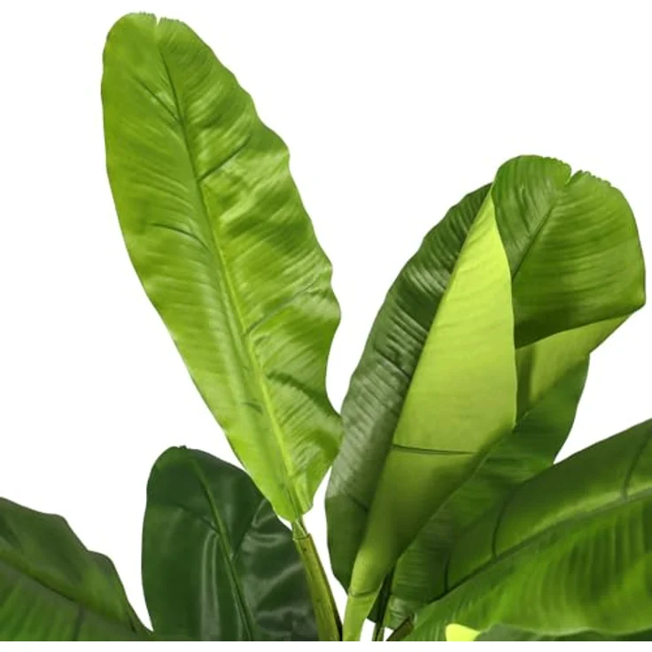 hjh OFFICE Kunstpflanze BANANE I 150cm Deko Kunstpflanze Pflegeleichte Bananenpflanze Kunstbaum für Wohnzimmer Schlafzimmer Büro, detailgetreue Optik, geruchsneutral, creme-weißer Kunststofftopf – Bild 2