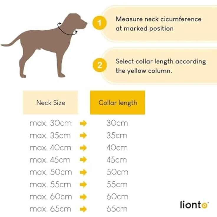 lionto Hundehalsband Nylon, Zugstopp-Halsband für Hundetraining, 55 cm Länge, 1 cm dick, rot, Lederimitat mit Metallring und stufenlosem Schieber – Bild 3