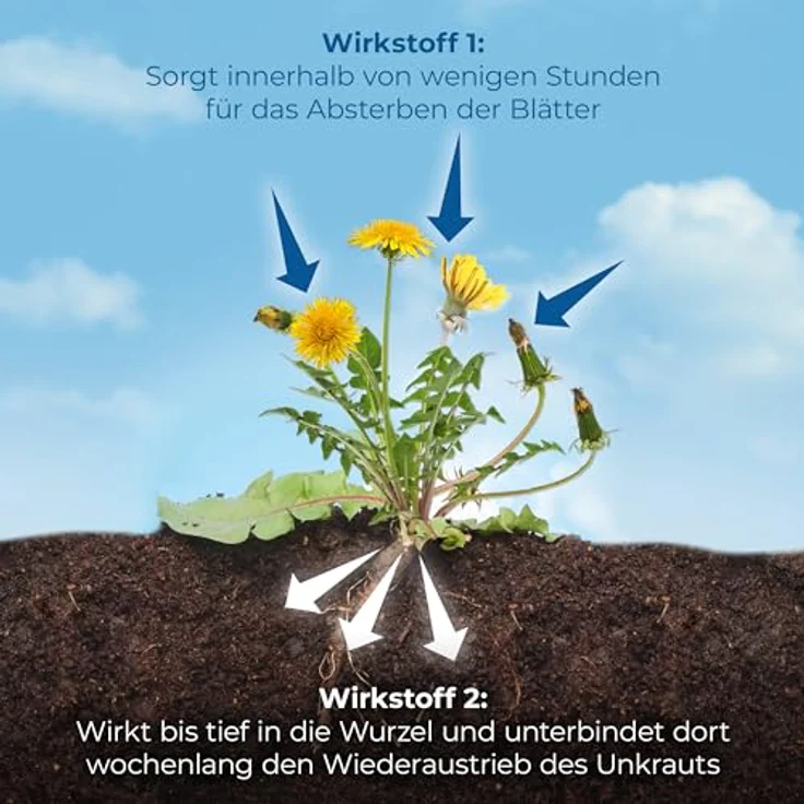PROTECT GARDEN Permaclean Duo Unkraut & Wurzel Ex, Unkrautvernichter mit Zweifachwirkung gegen alle Unkräuter und Ungräser, 1000 ml – Bild 4
