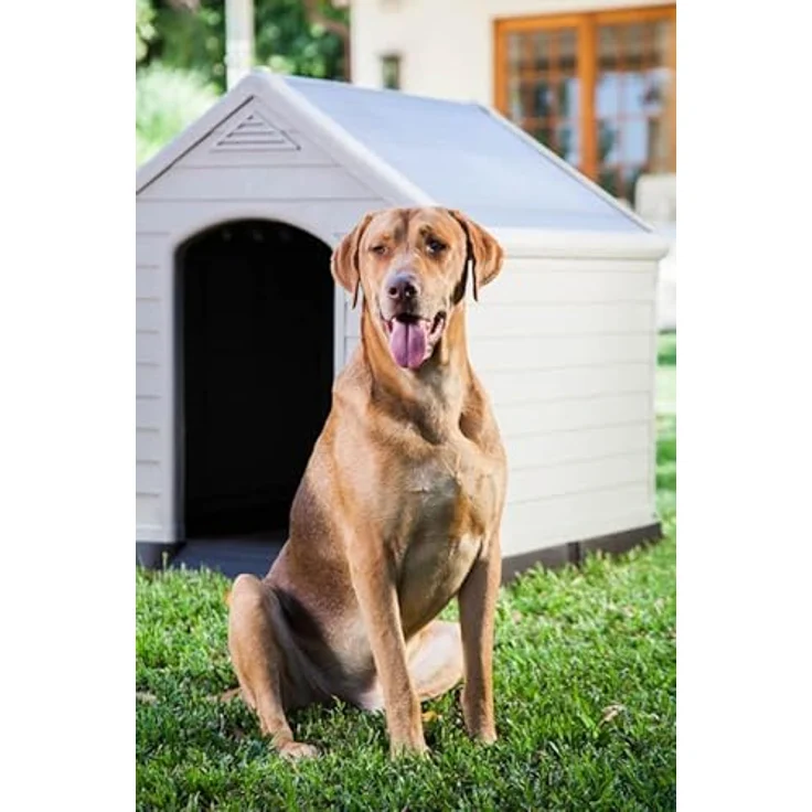 CURVER Hundehütte, grau, wasserdicht & UV-beständig, PVC, Außenmaße 95 x 99 x 99 cm, auch für große Hunde geeignet, erhöhter Boden, aus 85% recyceltem Material hergestellt – Bild 2