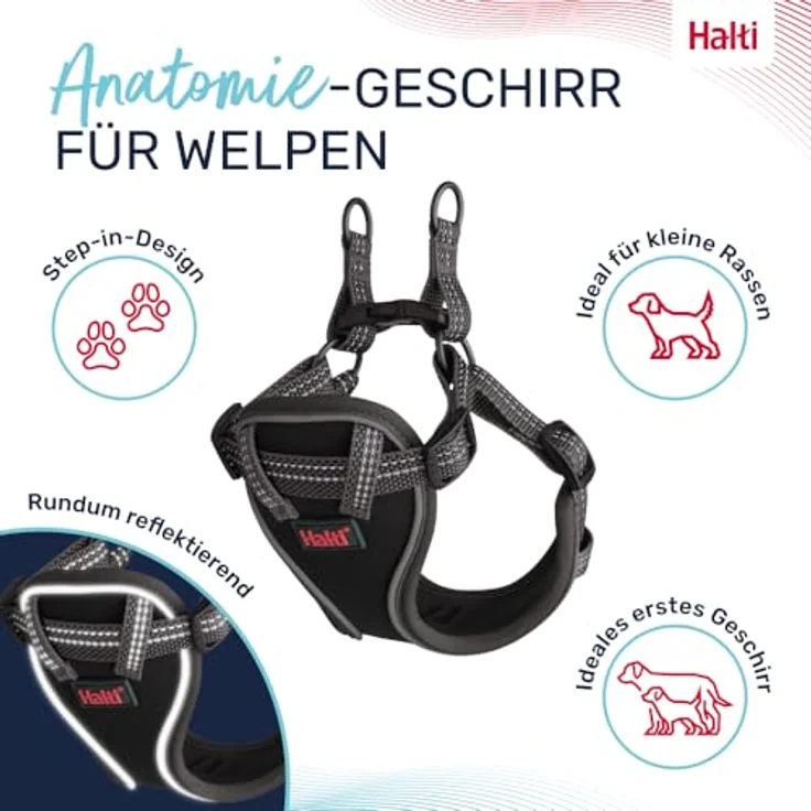 Company of Animals HALTI Anatomy Geschirr für Welpen, Größe XXS, Grau, mit 4 Einstellungspunkten und 360°-Reflektoren – Bild 3