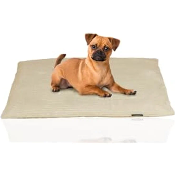 Rohrschneider Weiches Hundebett aus Cord, waschbarer Bezug, XXL Liegefläche, Wendekissen, Made in Germany – Bild 1