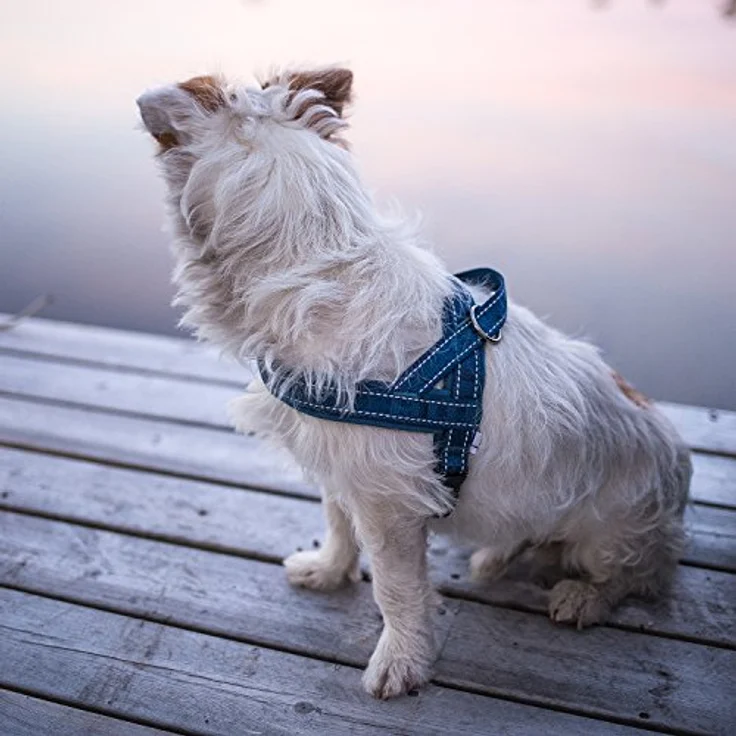 Hurtta Gepolstertes Hundegeschirr Lingon, 71 cm, mit Neoprenpolsterung und 3M-Reflektoren für optimale Sichtbarkeit – Bild 3