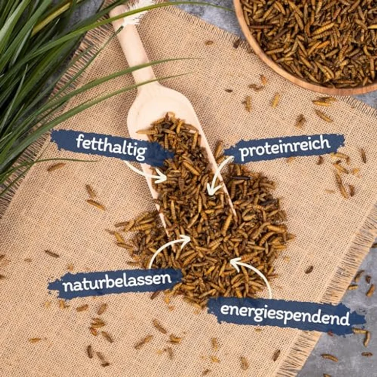 Lyra Pet® 1 kg getrocknete Soldatenfliegenlarven | Black Soldier Fly | Hermetia Illucens | Reich an Kalzium & Proteinen | Energiereiches Futter für Vögel, Fische, Nager & Reptilien – Bild 2