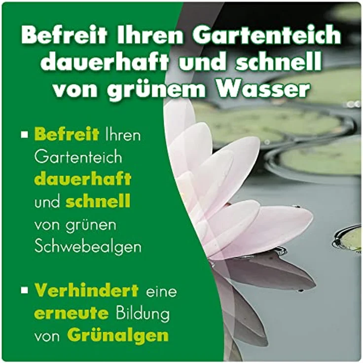 AQUALITY Gartenteich Grünwasser-EX (Besonders wirksam bei grünem Wasser, dauerhaft und schnell, grüne Schwebealgen, verhindert die Algenneubildung), Inhalt:1 Liter – Bild 2