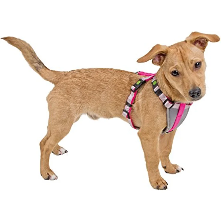 Geschirr für kleine Hunde S, neon pink – Bild 2