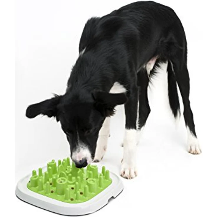 Savic Pet Enigma Large 20, Futternapf für Hunde & Katzen, rutschfest, einfach zu reinigen – Bild 3