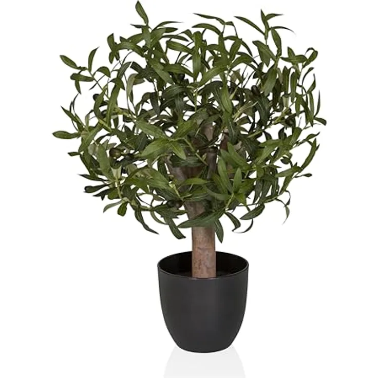 hjh OFFICE Kunstpflanze Olive S 70 cm - Immergrün, Pflegeleicht, Realistische Nachbildung aus Kunststoff & Kunstseide, Grün, Ideal für Indoor und geschützten Outdoorbereich