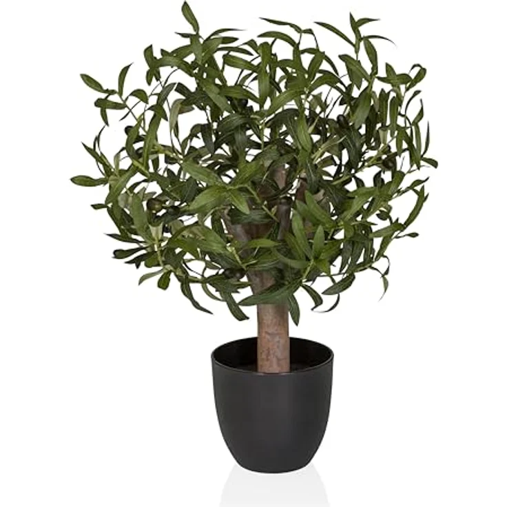 hjh OFFICE Kunstpflanze Olive S 70 cm - Immergrün, Pflegeleicht, Realistische Nachbildung aus Kunststoff & Kunstseide, Grün, Ideal für Indoor und geschützten Outdoorbereich – Bild 1