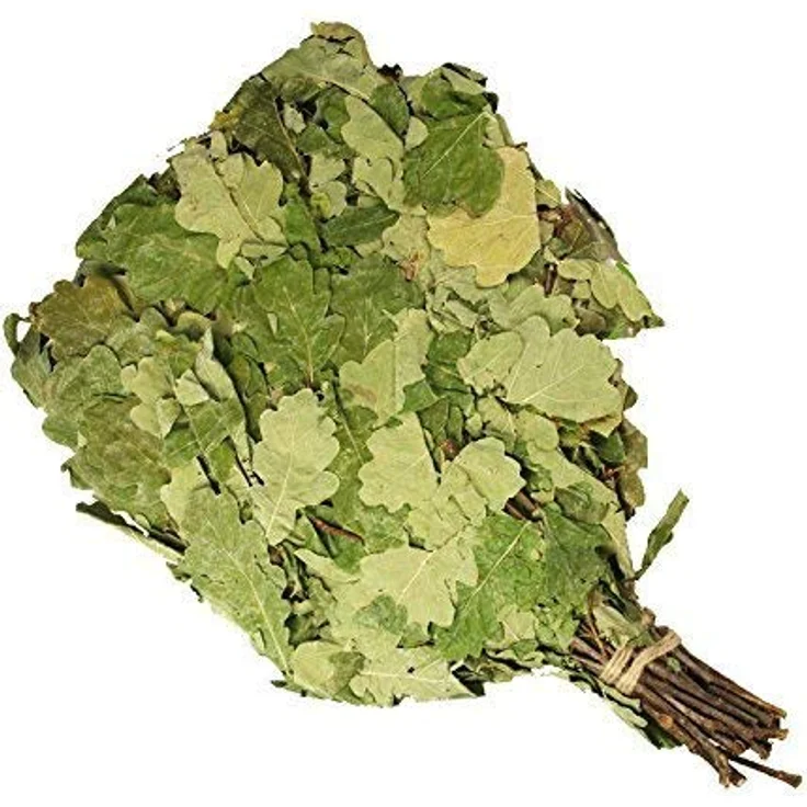Eichenreisig für Sauna, Wenik für Banja ca. 55-60 cm – Bild 2