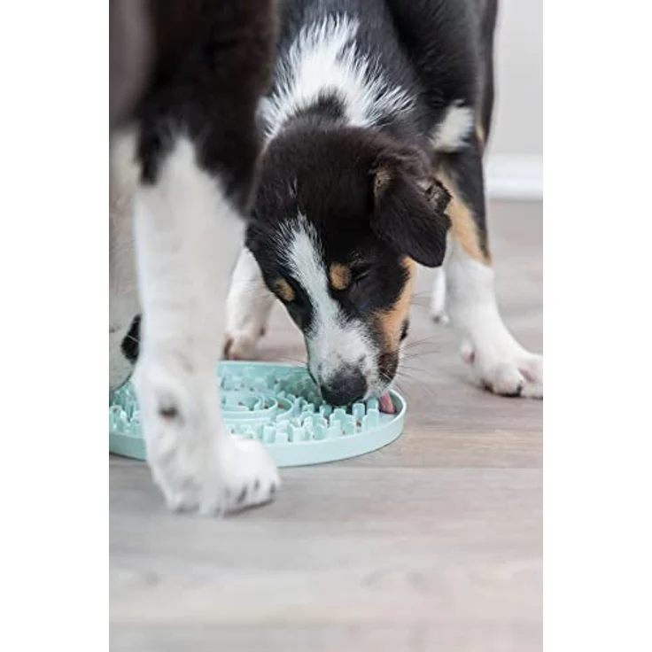 TRIXIE Antischlingnapf Junior Lickn'Snack Schleckplatte, Futternapf für Hunde, mint, spülmaschinengeeignet – Bild 2