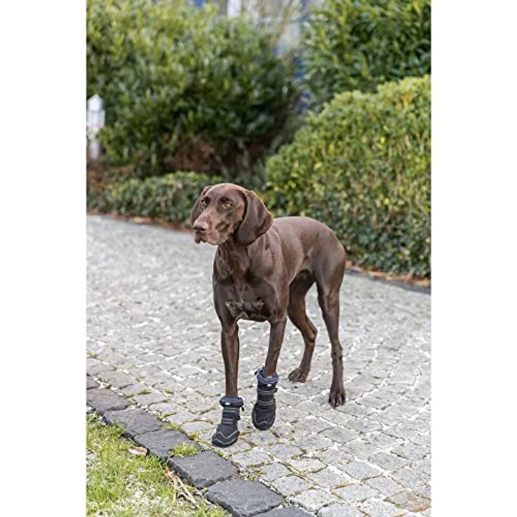 Trixie Walker Active, Hundeschuhe in L und XL mit rutschfester Grip-Sohle, atmungsaktivem Material und reflektierenden Elementen – Bild 8